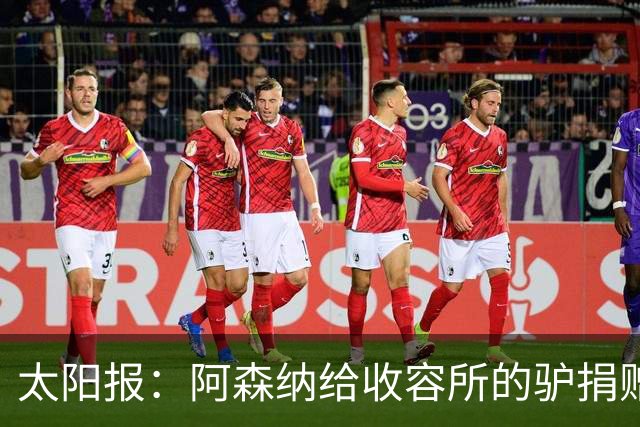 太阳报：阿森纳给收容所的驴捐赠40双球袜，保护它们腿部免受感染